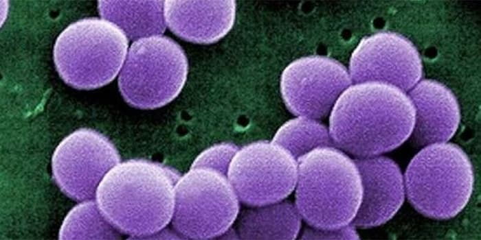 DEFRA Approved Disinfectants