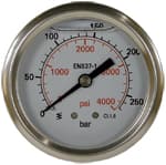 Pressure Gauge Back Entry S/Steel 50mm 250bar