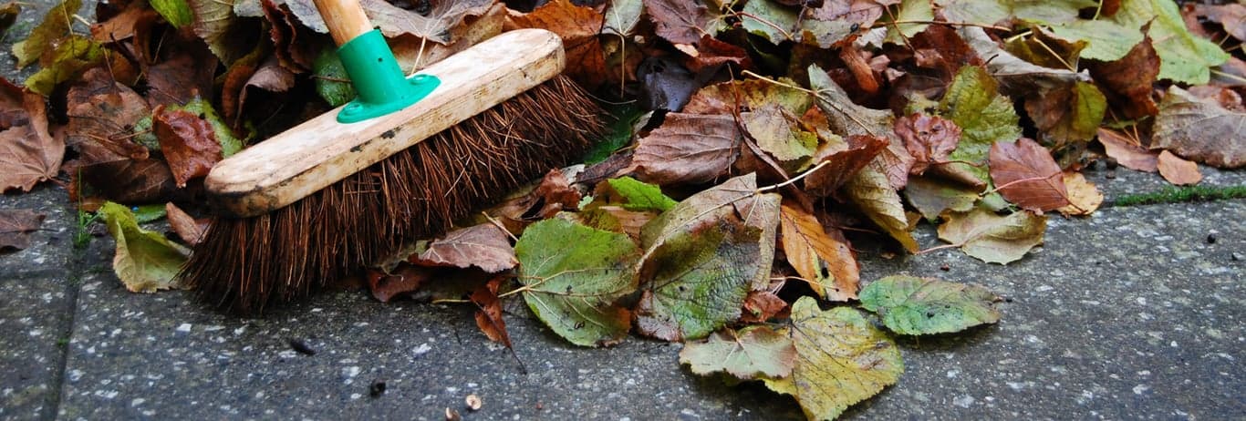 Brushware